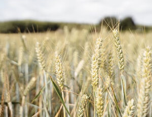 imtoken如何注册多个账号